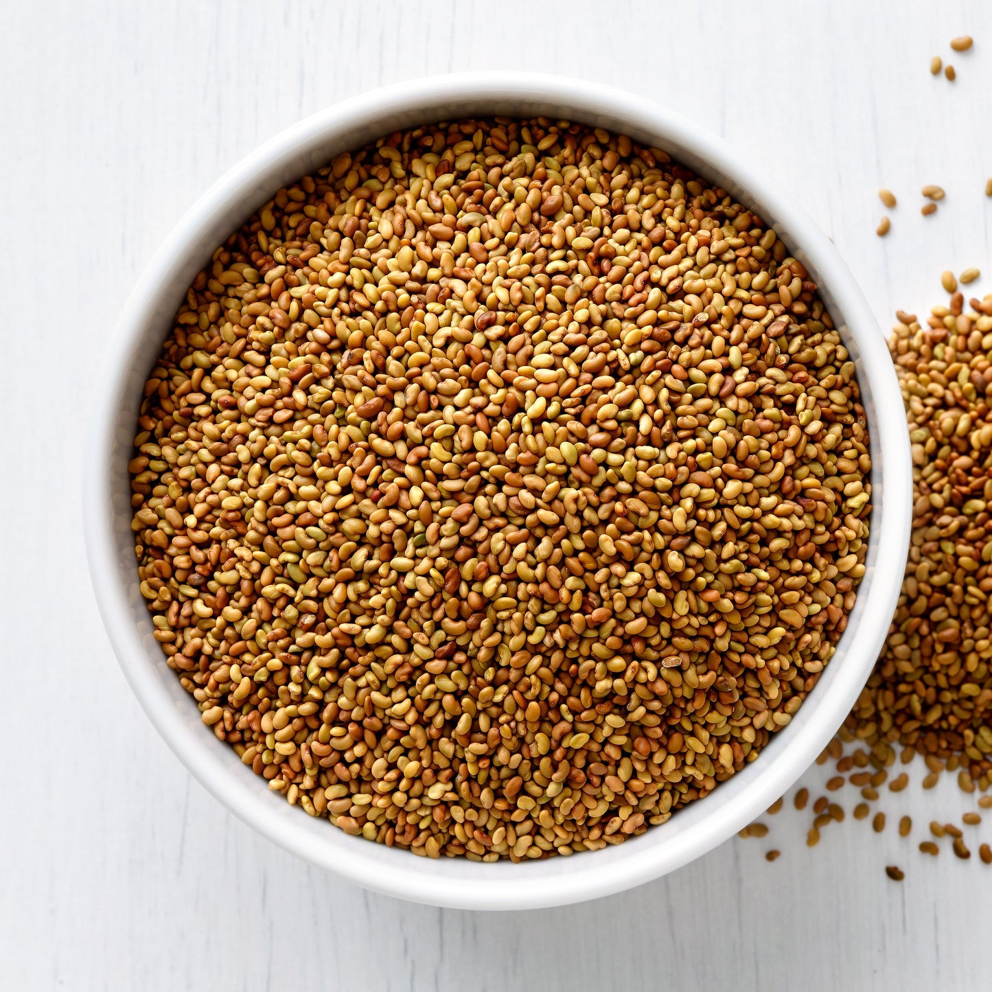 Alfalfa Seeds | Nutty Taste | Tender Crunch