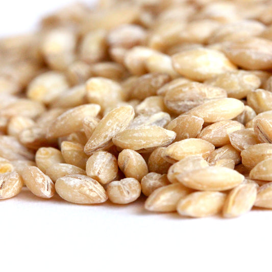 Pearled Barley | Wholesome | Hearty | Comforting