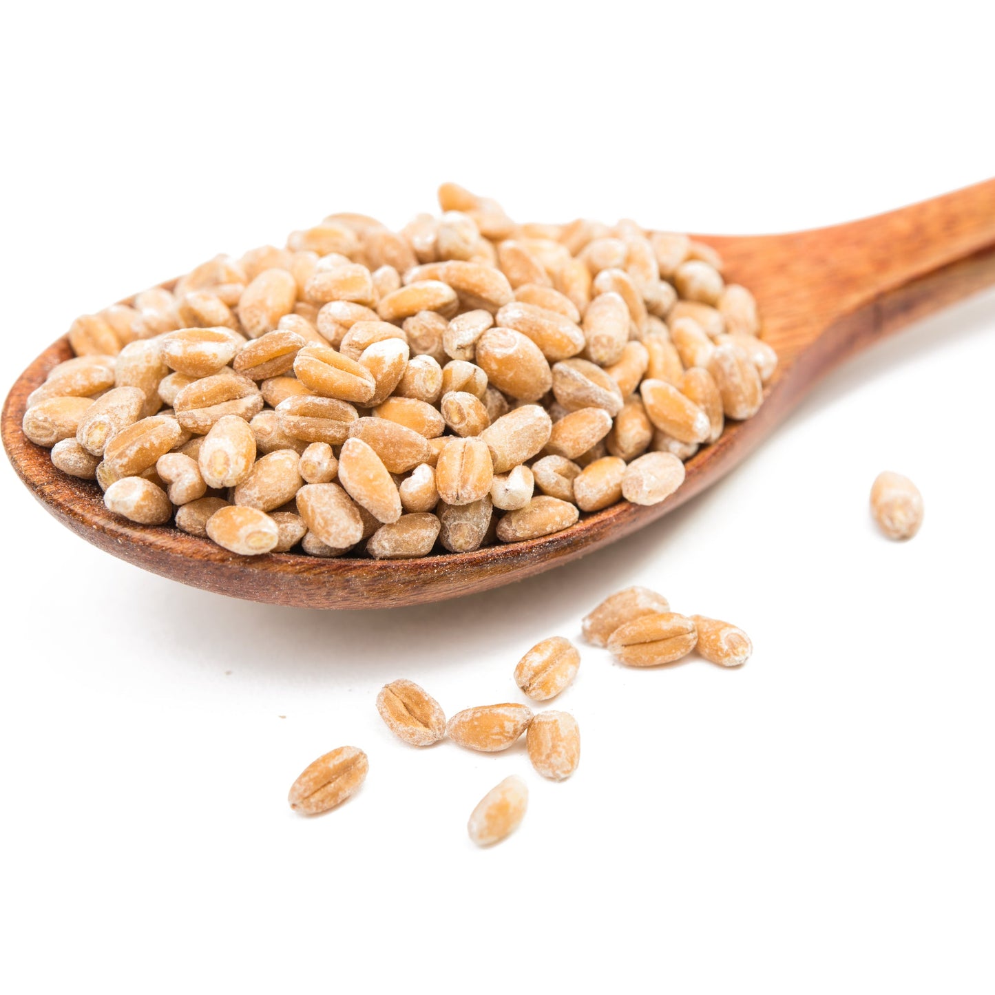 Pearled Barley | Wholesome | Hearty | Comforting