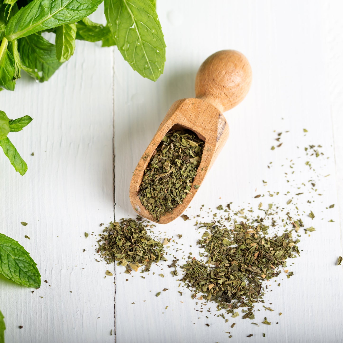 Pappermint Leaf | Organic | Cool & Refreshing
