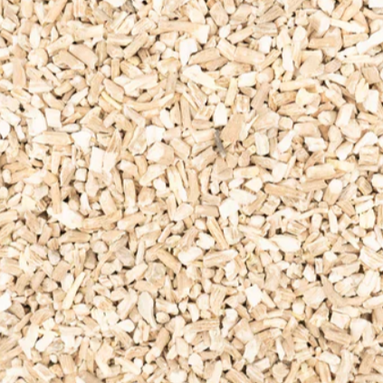 Ashwagandha | Organic | Grounded Strength