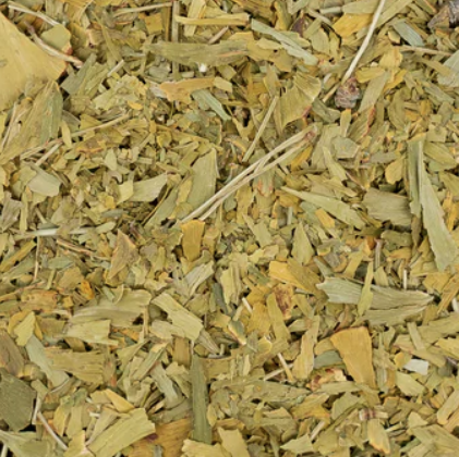Ginkgo | Organic | Herbal Tea & Wellness Herb