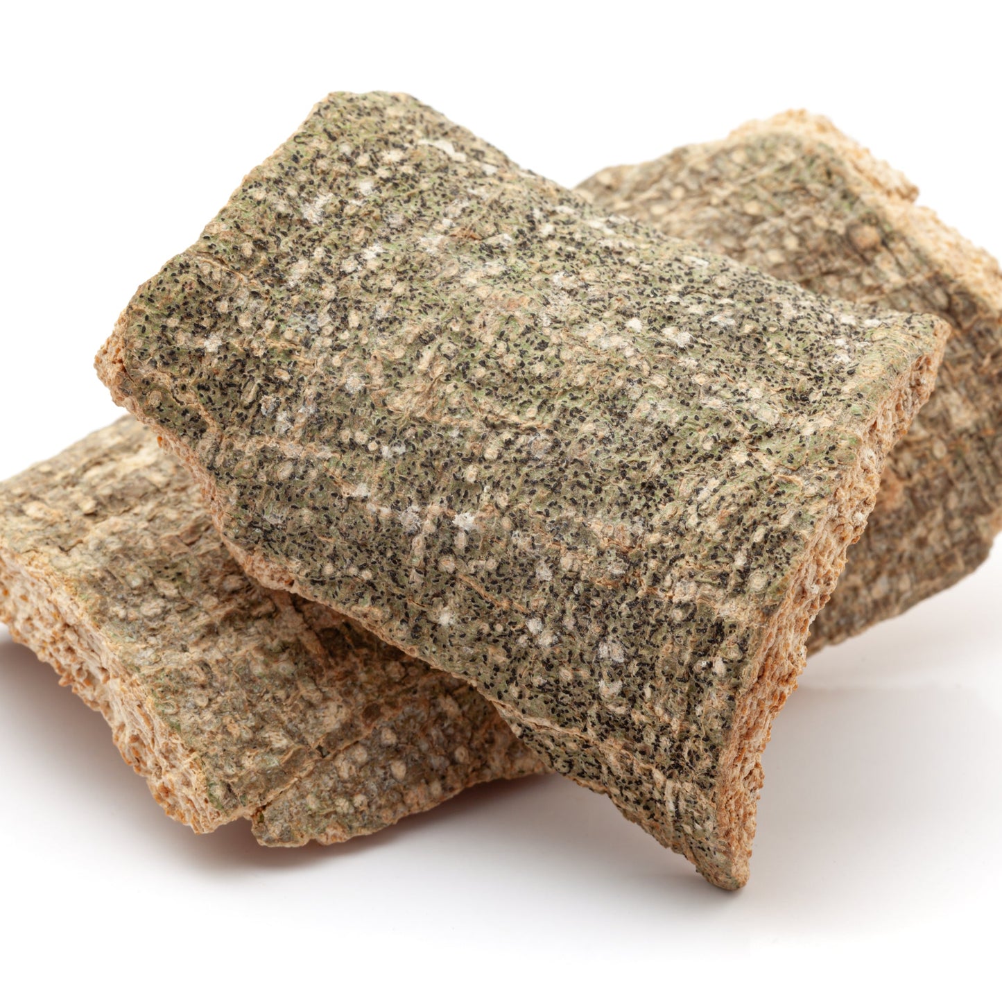 Crataeva Bark Powder | Wildcrafted | Robust | Earth Kissed