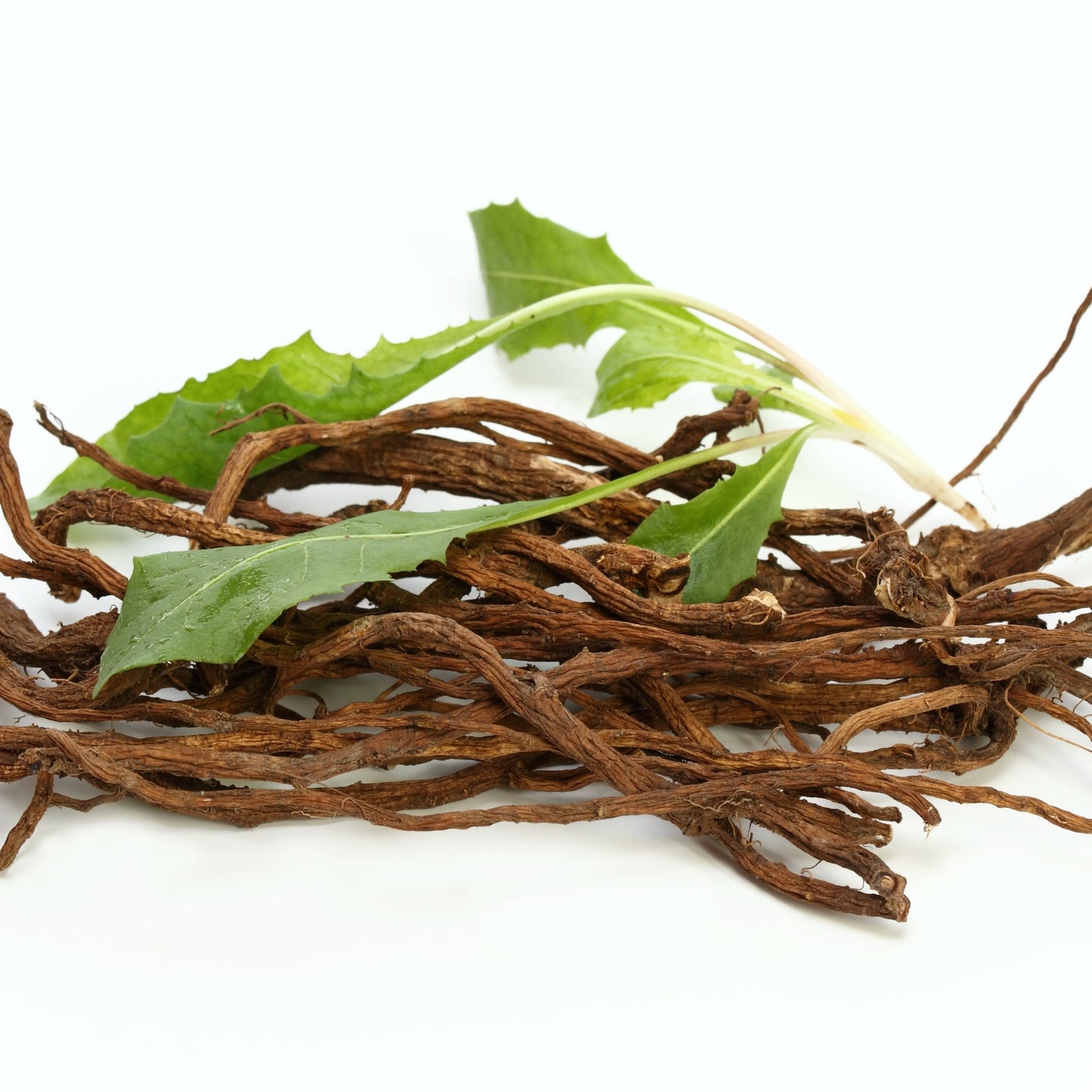 A pile of dried brown roots or roots and leaves botanical material with a few green leaves on a white background.