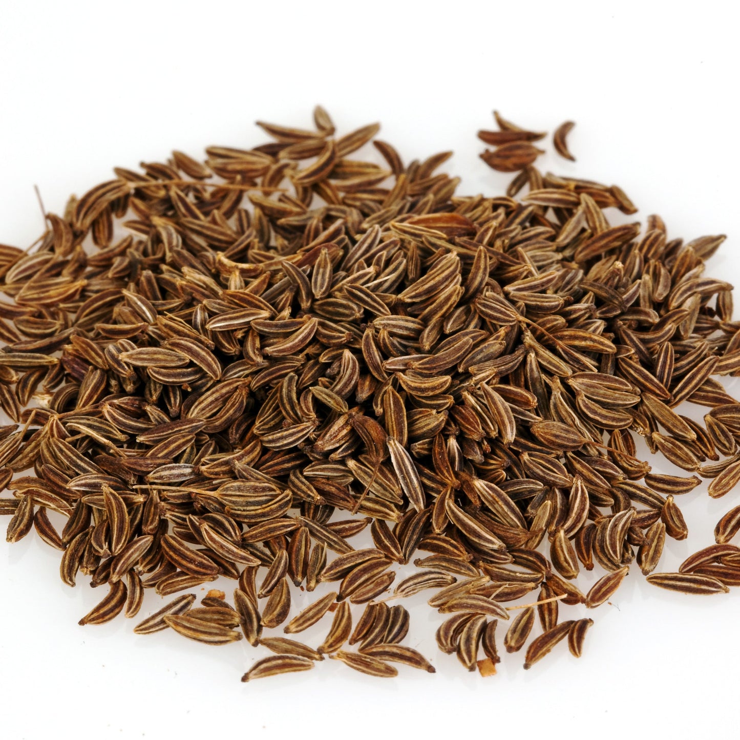 Caraway Seeds | Organic | Baking & Pickling Spice
