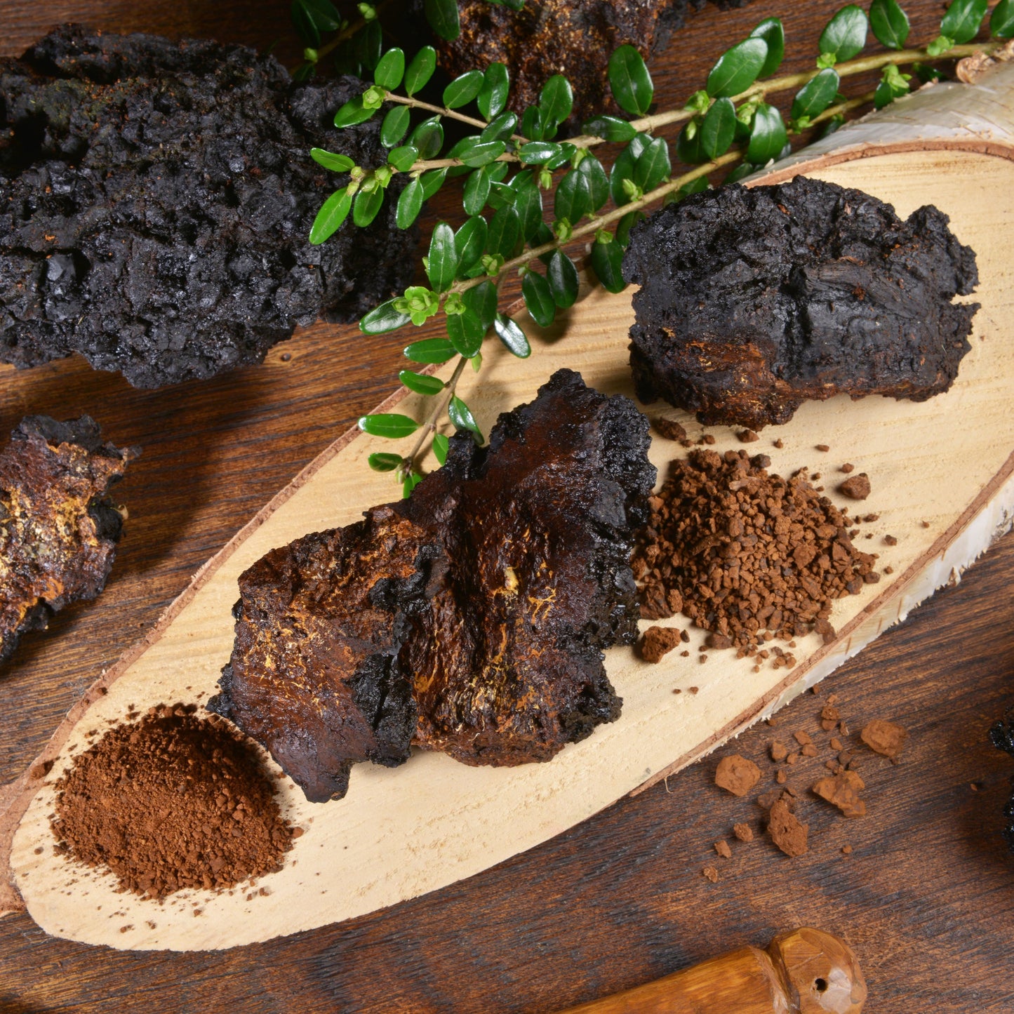 Chaga Mushroom Powder | Organic | Immune Support Superfood