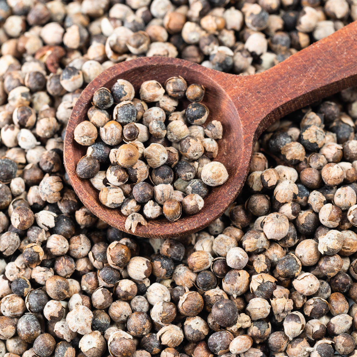 Chaste Tree Berry | Powder | Bitter | Monks Pepper