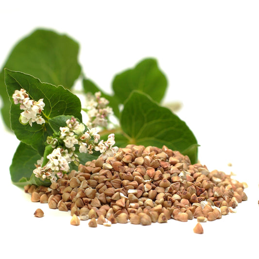 Buckwheat | Organic | Rich, Textured & Sustaining