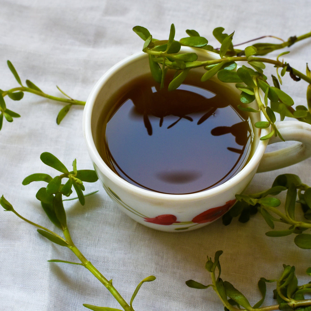 Bacopa Brahmi | Organic | Ayurvedic | Ancient Mind Herb