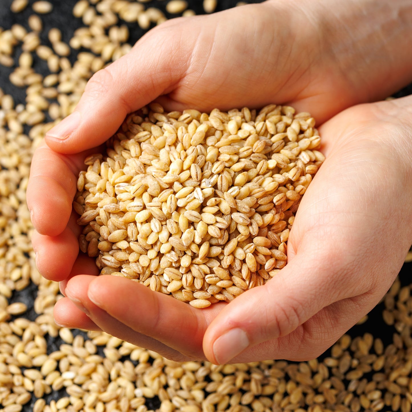 Pearled Barley | Hearty | Nutty | Comforting