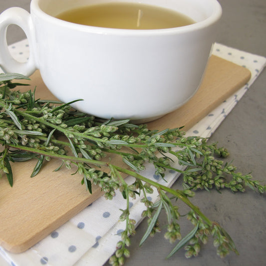 Mugwort Tea | Organic | Ancient, Aromatic & Mystical