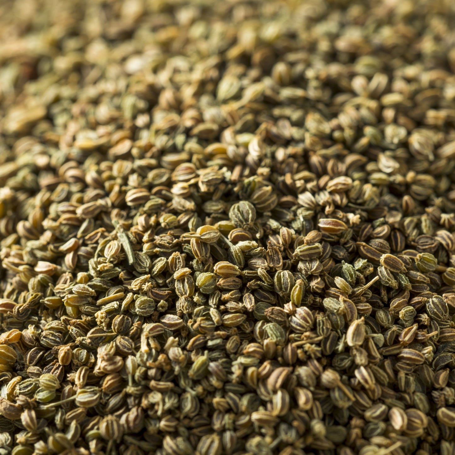 Celery Seed | Organic | Whole Spice