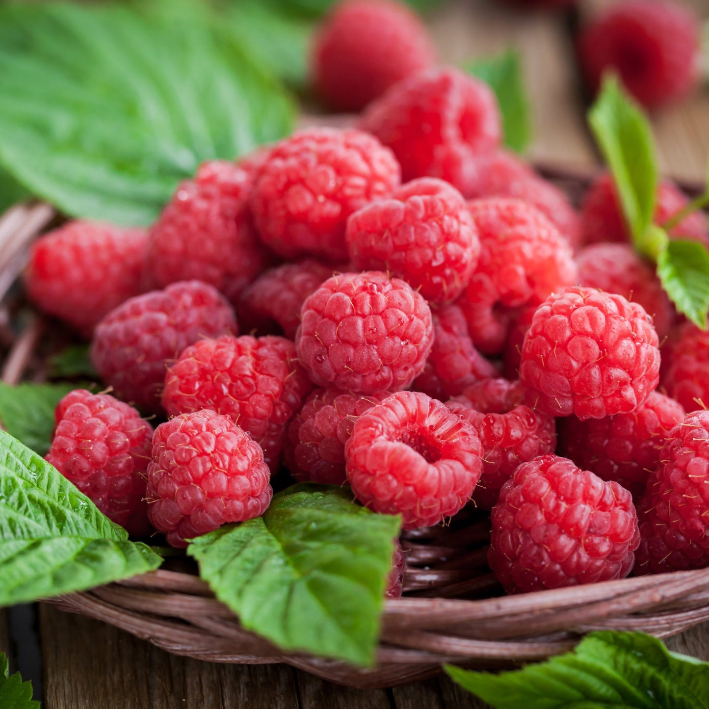 Raspberry Leaf Tea| Organic | Delicate, Balancing & Traditional