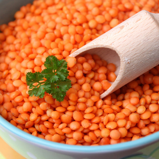 Red lentils close up from The Herb Shed Wollongong