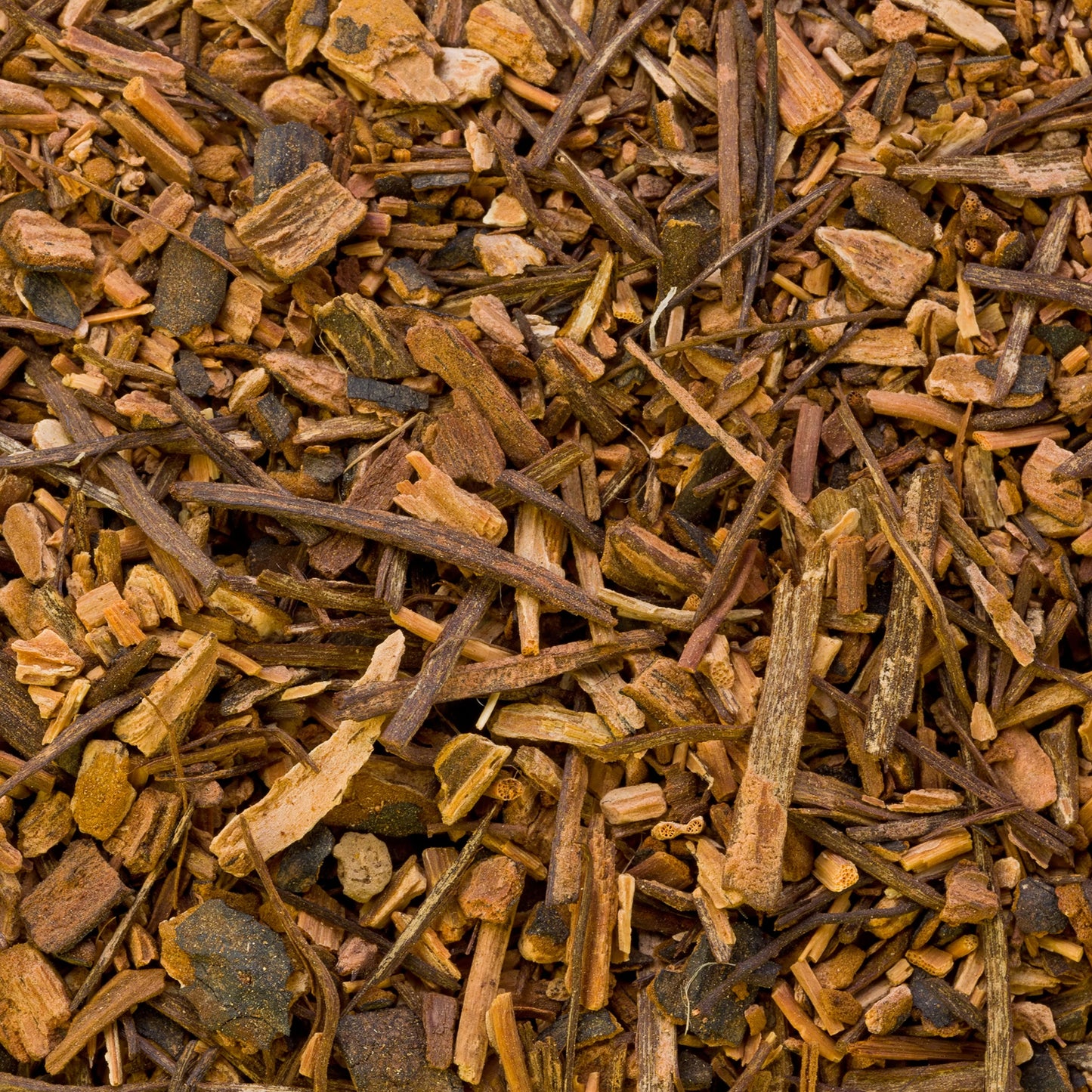 Sarsaparilla | Root | Earthy | Spicy | Restorative