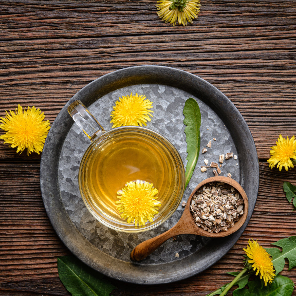 A cup of golden herbal tea beside dried dandelion root and yellow dandelion flowers, showing Organic Dandelion Dried Root Tea from The Herb Shed Wollongong, Australia, prepared as a herbal infusion.