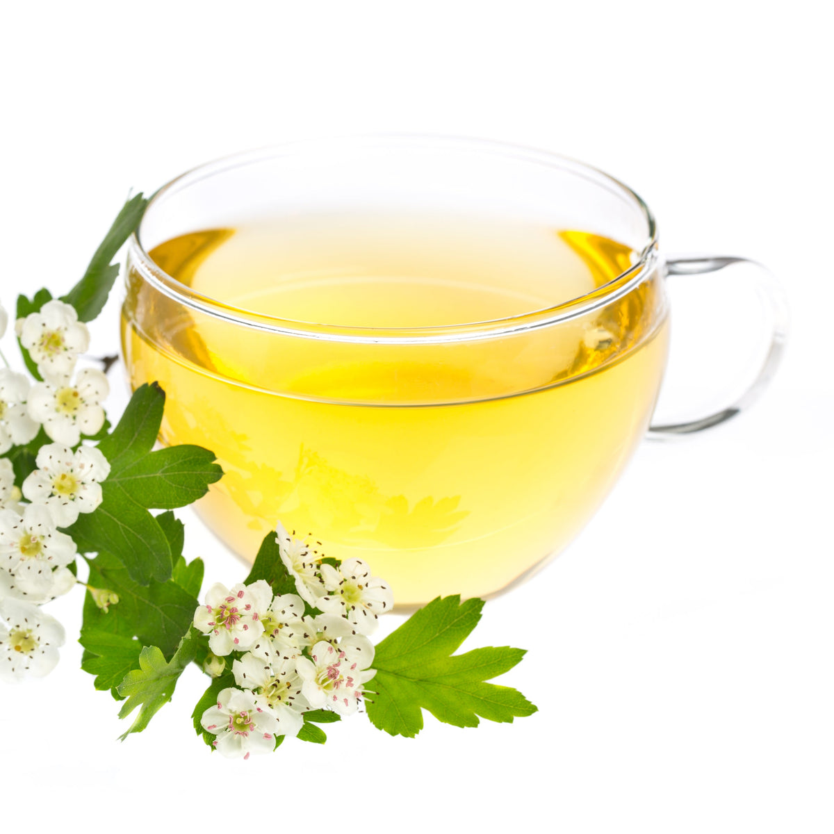 A clear cup of golden herbal tea beside hawthorn flowers and green leaves, showing Organic Hawthorn Leaf & Flower from The Herb Shed in Wollongong, Australia, prepared as a herbal infusion.
