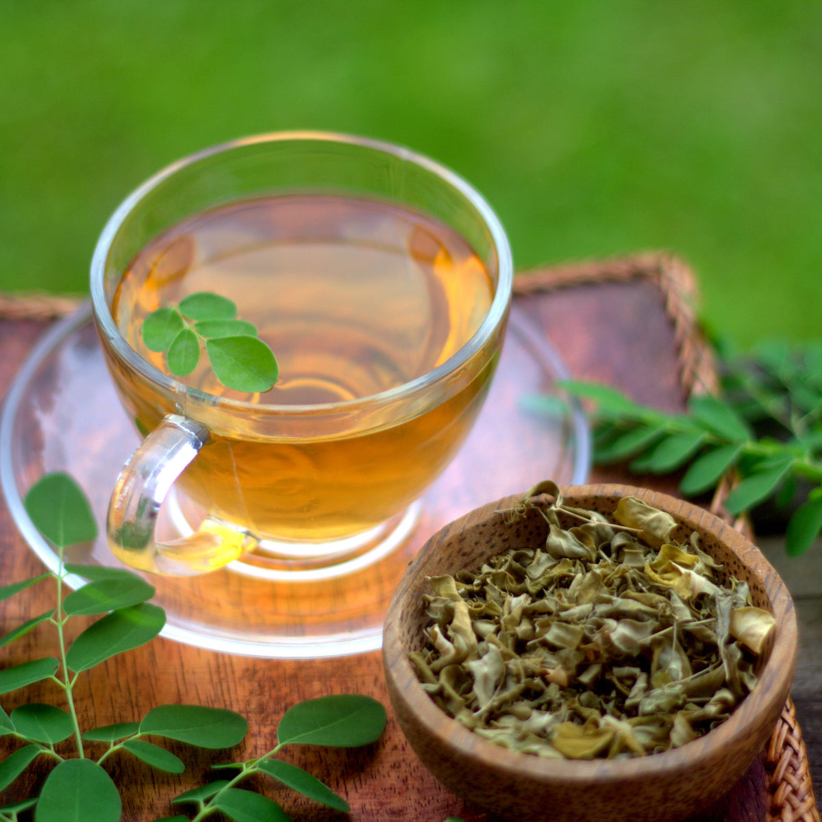 A clear glass cup of brewed moringa leaf tea sits beside a wooden bowl of dried moringa leaf, surrounded by fresh green leaves on a bright green background.