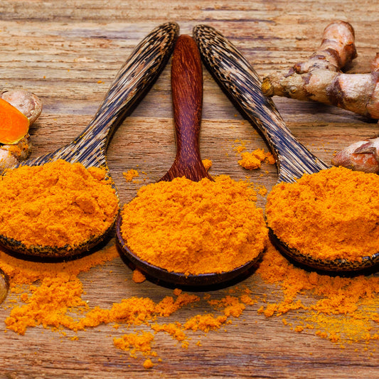 Organic turmeric powder in wooden spoons with whole turmeric