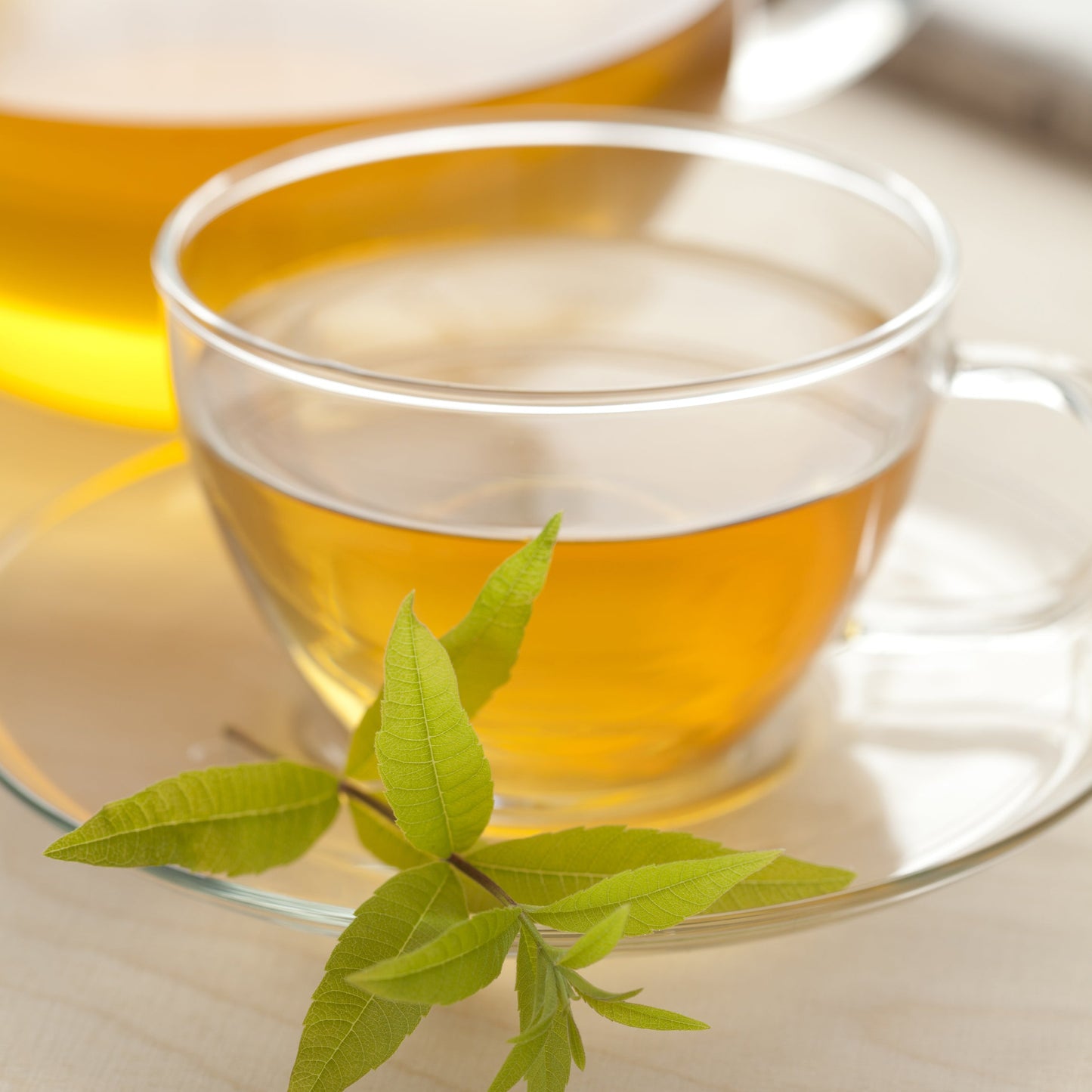 Brewed organic vervain tea in a glass cup