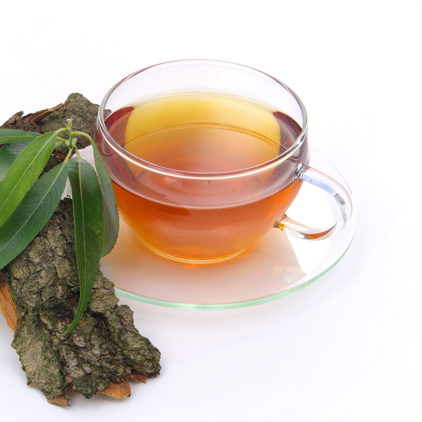 Dried white willow bark beside a cup of brewed tea