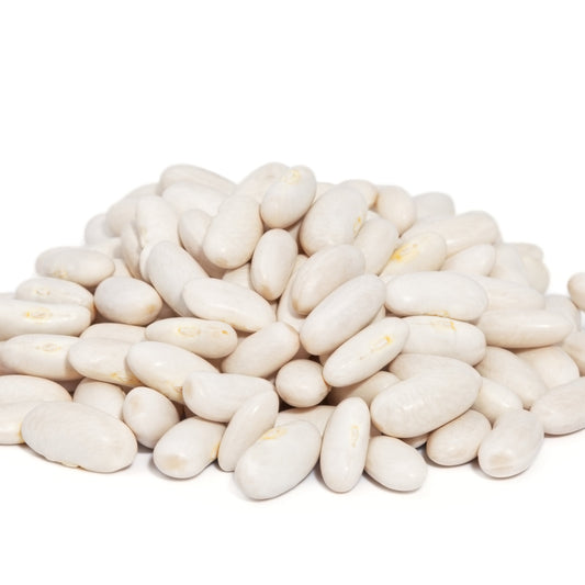 A pile of dried White Great Northern Beans showing their smooth, creamy-white colour and oval shape, from The Herb Shed Wollongong Australia.