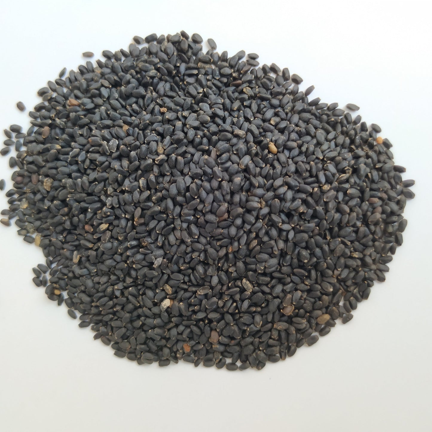 Close-up of black chia seeds on a white background – nutrient-rich superfood from The Herb Shed Wollongong