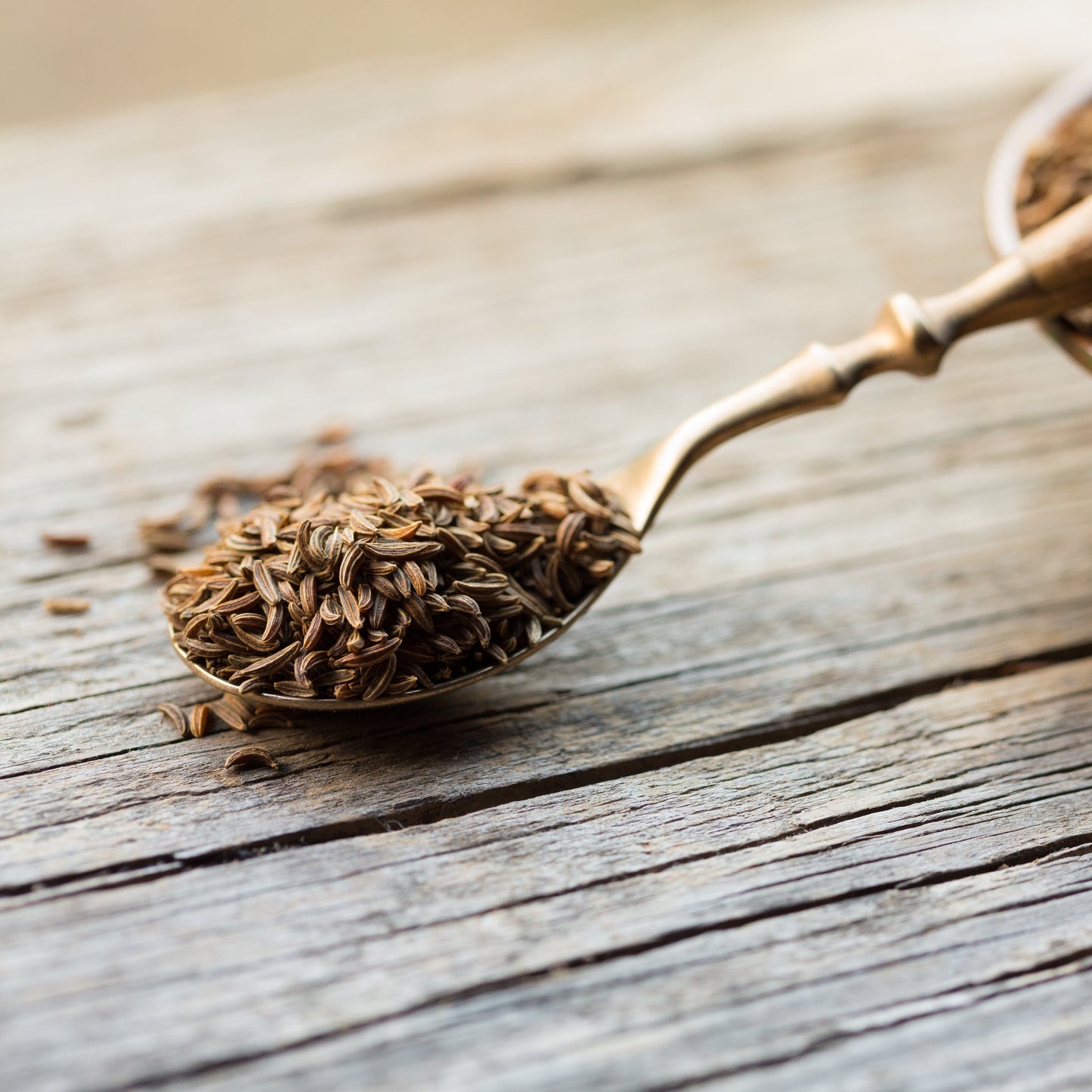 Organic caraway seeds on wooden spoon from The Herb Shed Wollongong