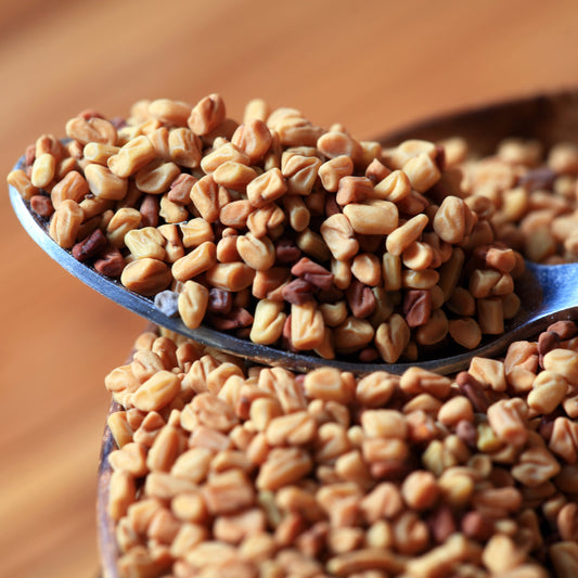 Organic fenugreek seeds in metal scoop from The Herb Shed Wollongong