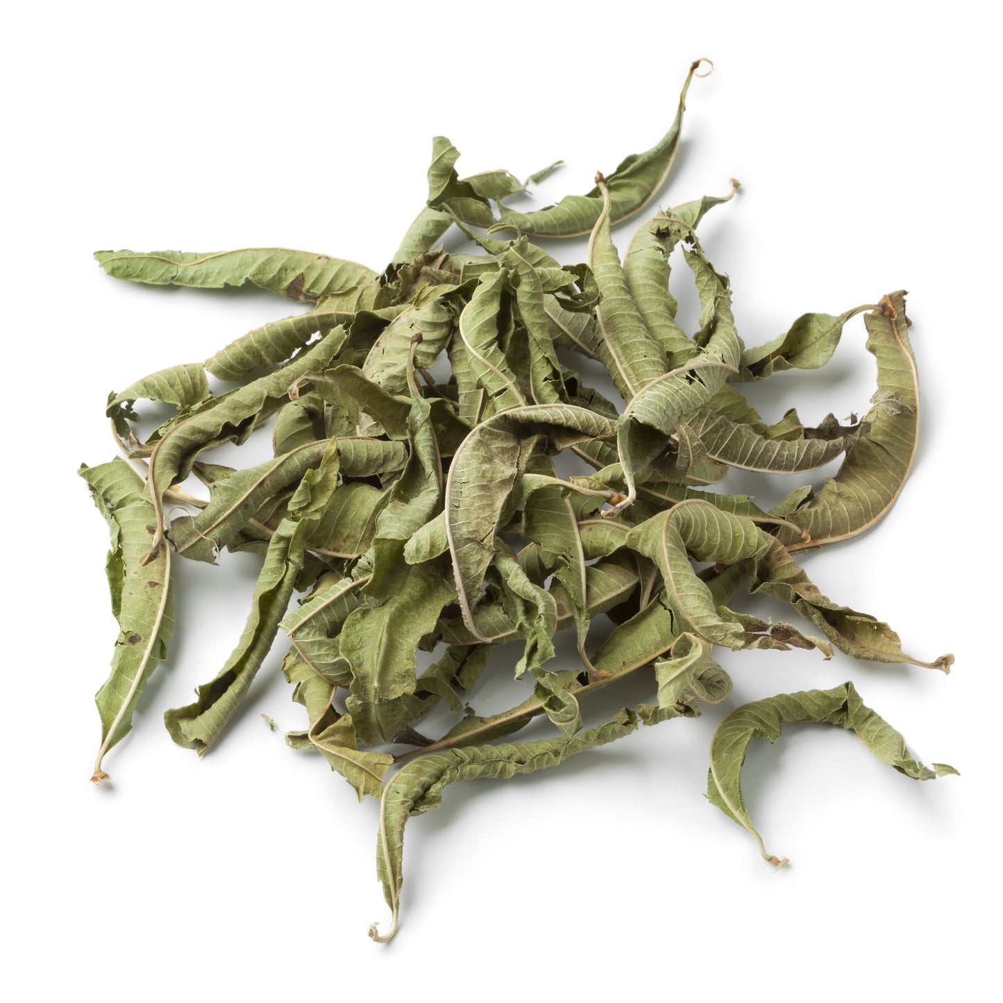 Whole dried vervain leaves curled and scattered on a white background – The Herb Shed Wollongong