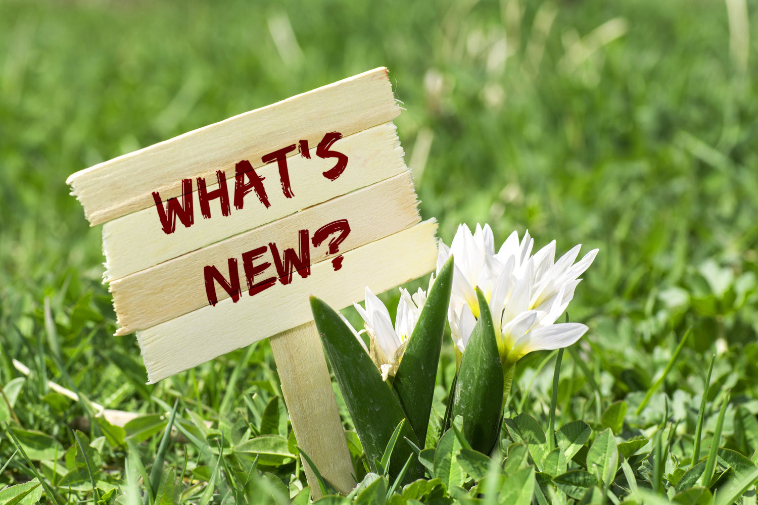 Fresh Temptations | Extra Thrill of Newness