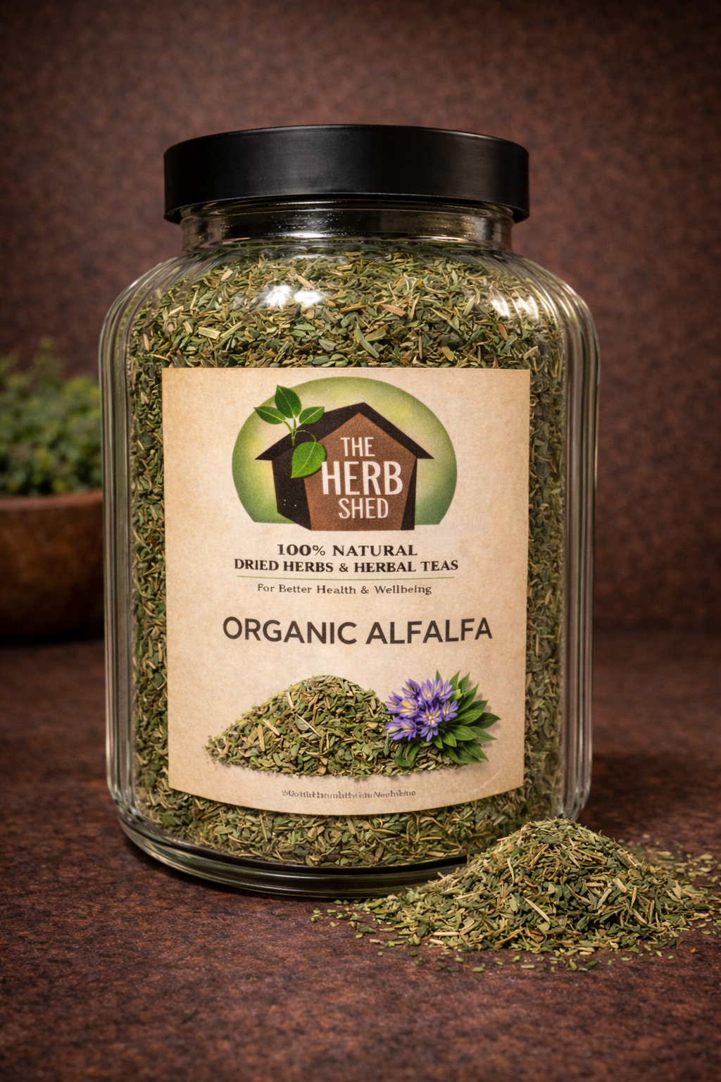 Alfalfa | Organic | Clean | Green | Gentle