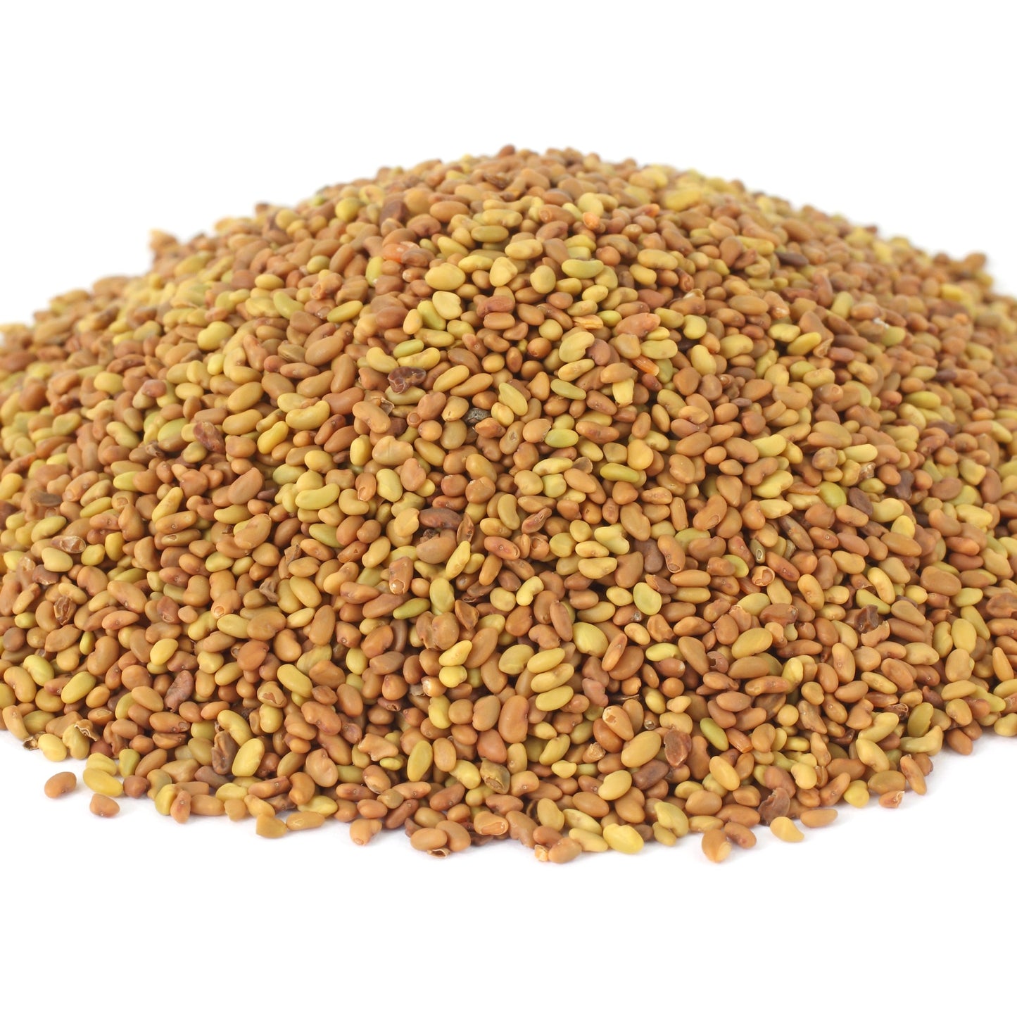 Alfalfa Seeds | Nutty Taste | Tender Crunch
