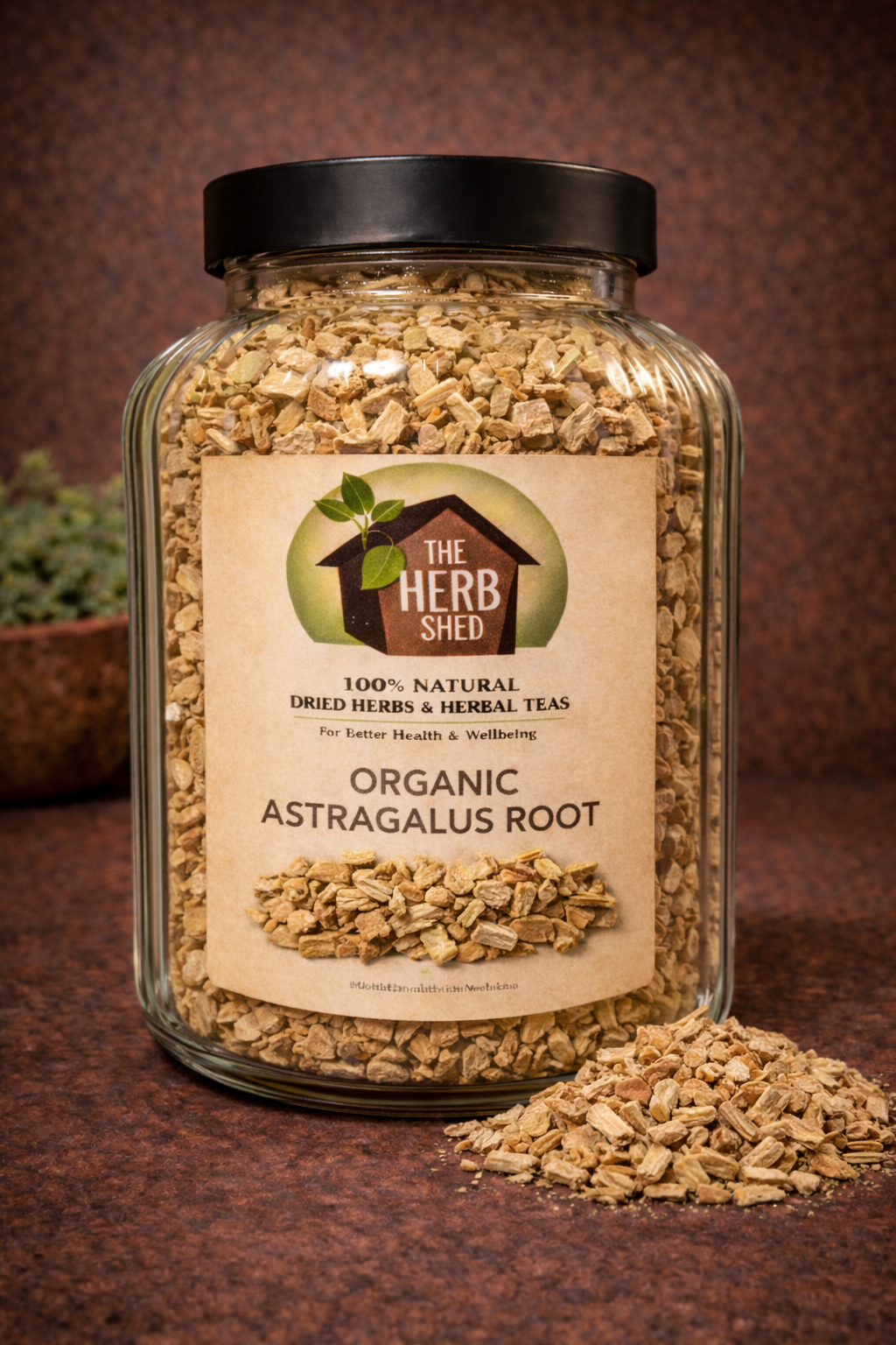 Astragalus Root | Organic | Sweet & Strengthening