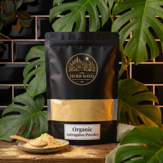 Astragalus Powder | Organic | Chinese Medicine