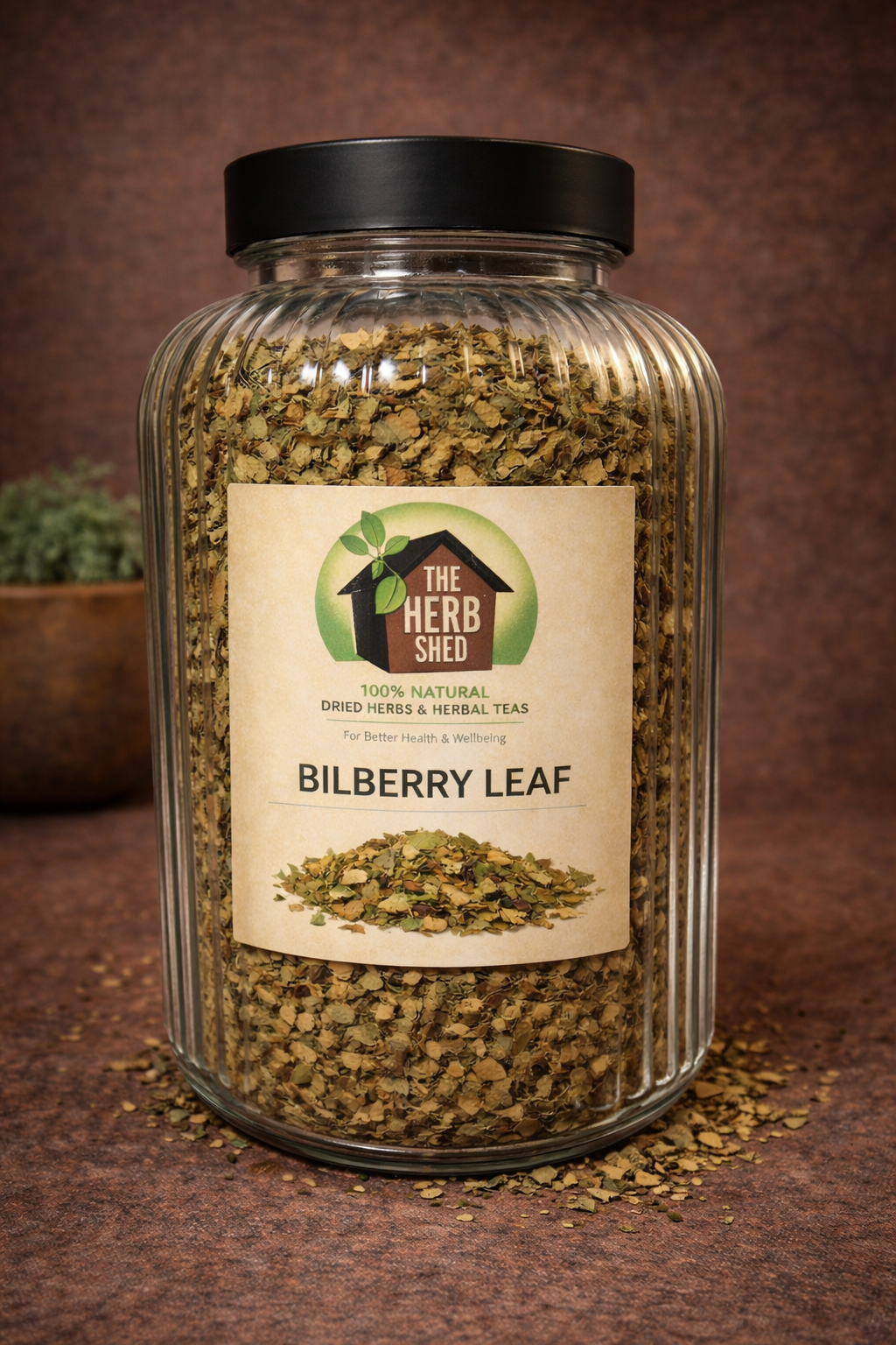 Bilberry Leaf | Dried | Balancing | Quietly Potent