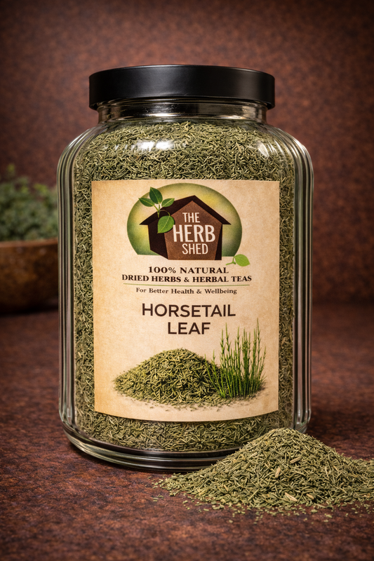 Horsetail Herb | Dried | Silica Rich | Deeply Mineral