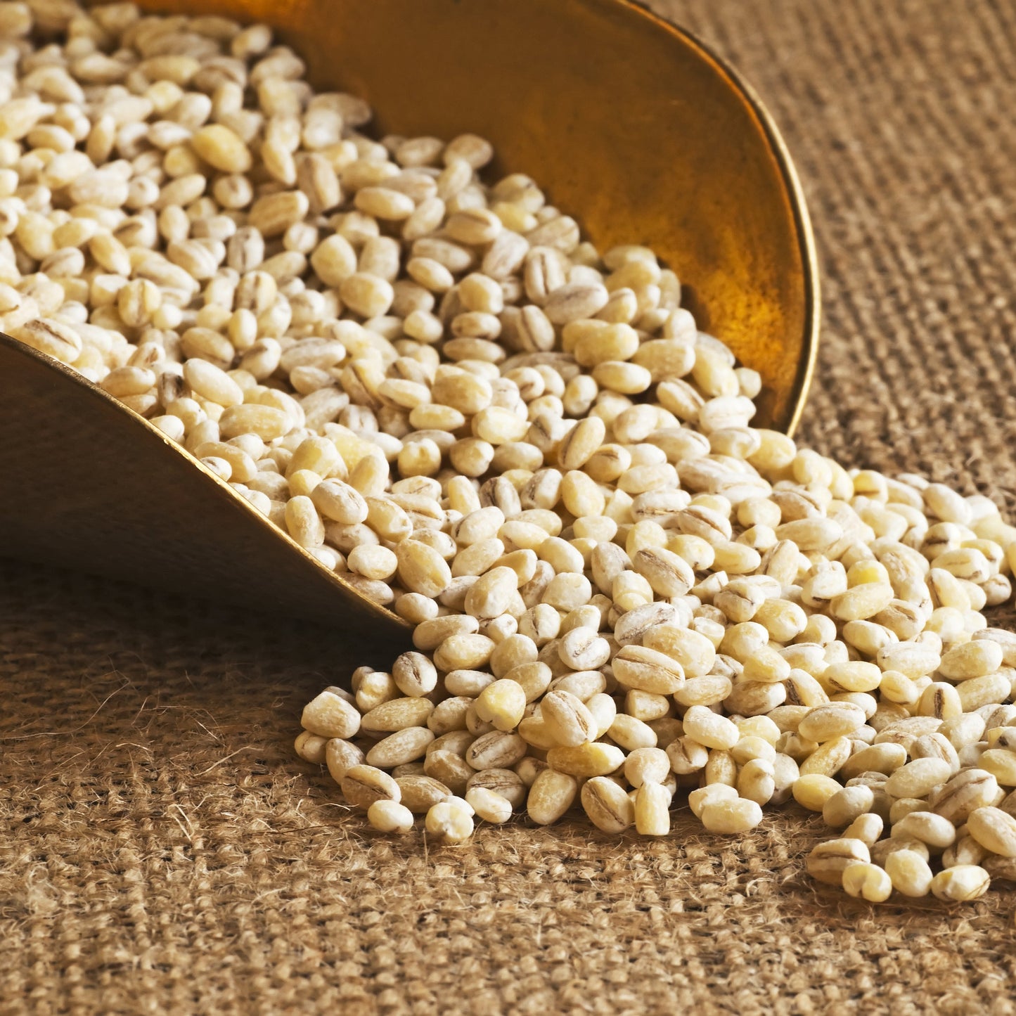 Pearled Barley | Wholesome | Hearty | Comforting