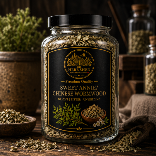 Sweet Annie | Chinese Wormwood | Bright & Bitter