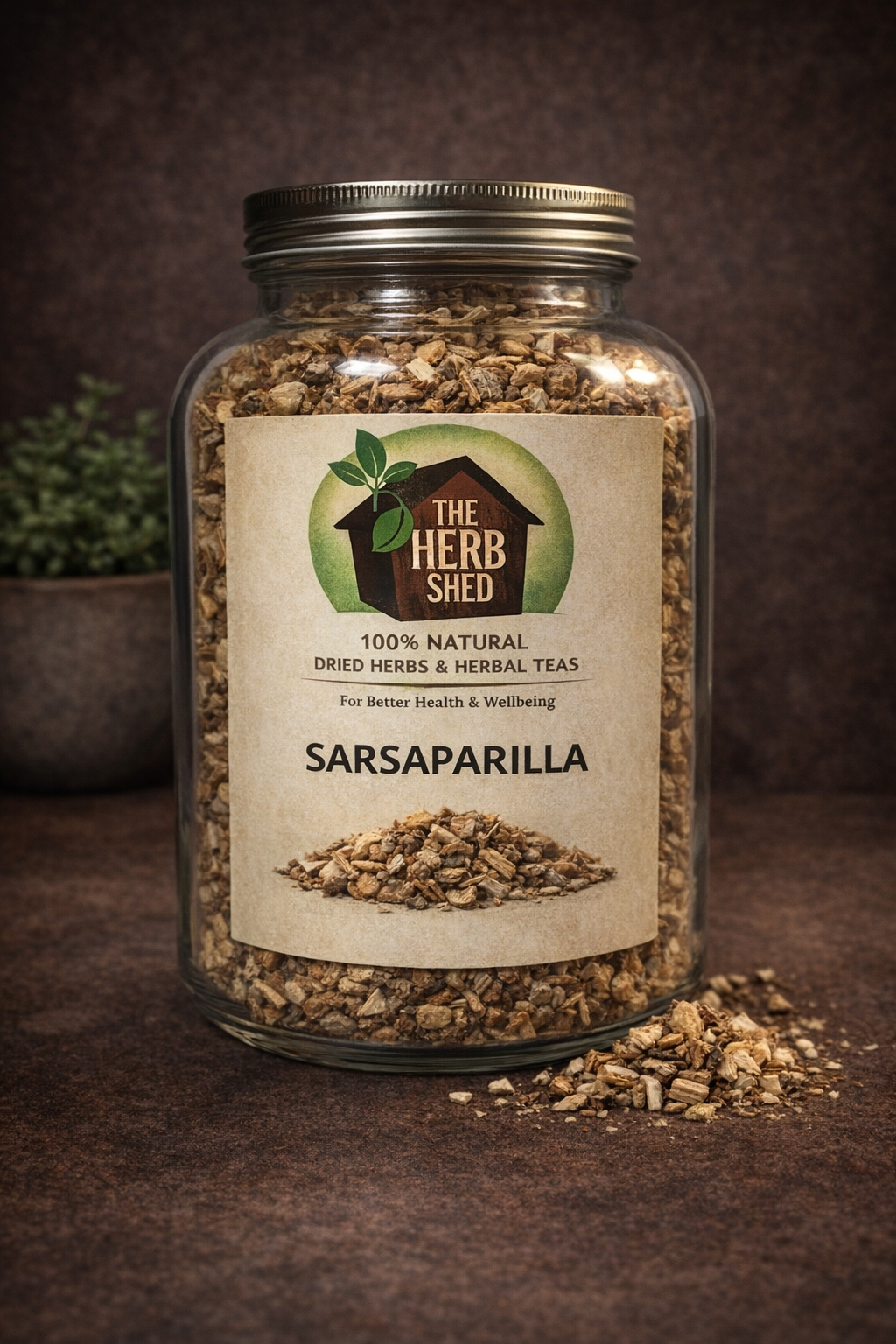 Sarsaparilla | Root | Earthy, Spicy & Restorative