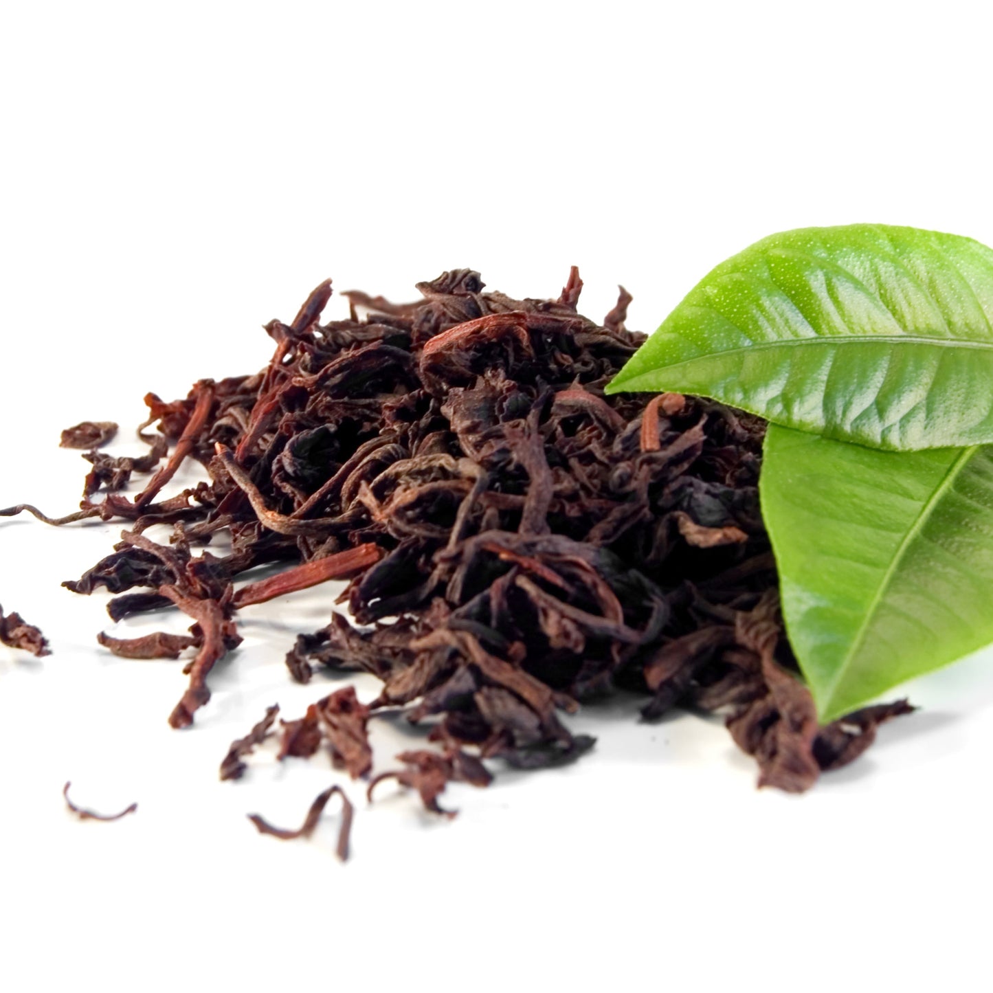 Organic African OP Black Tea loose leaves with fresh green tea leaves.