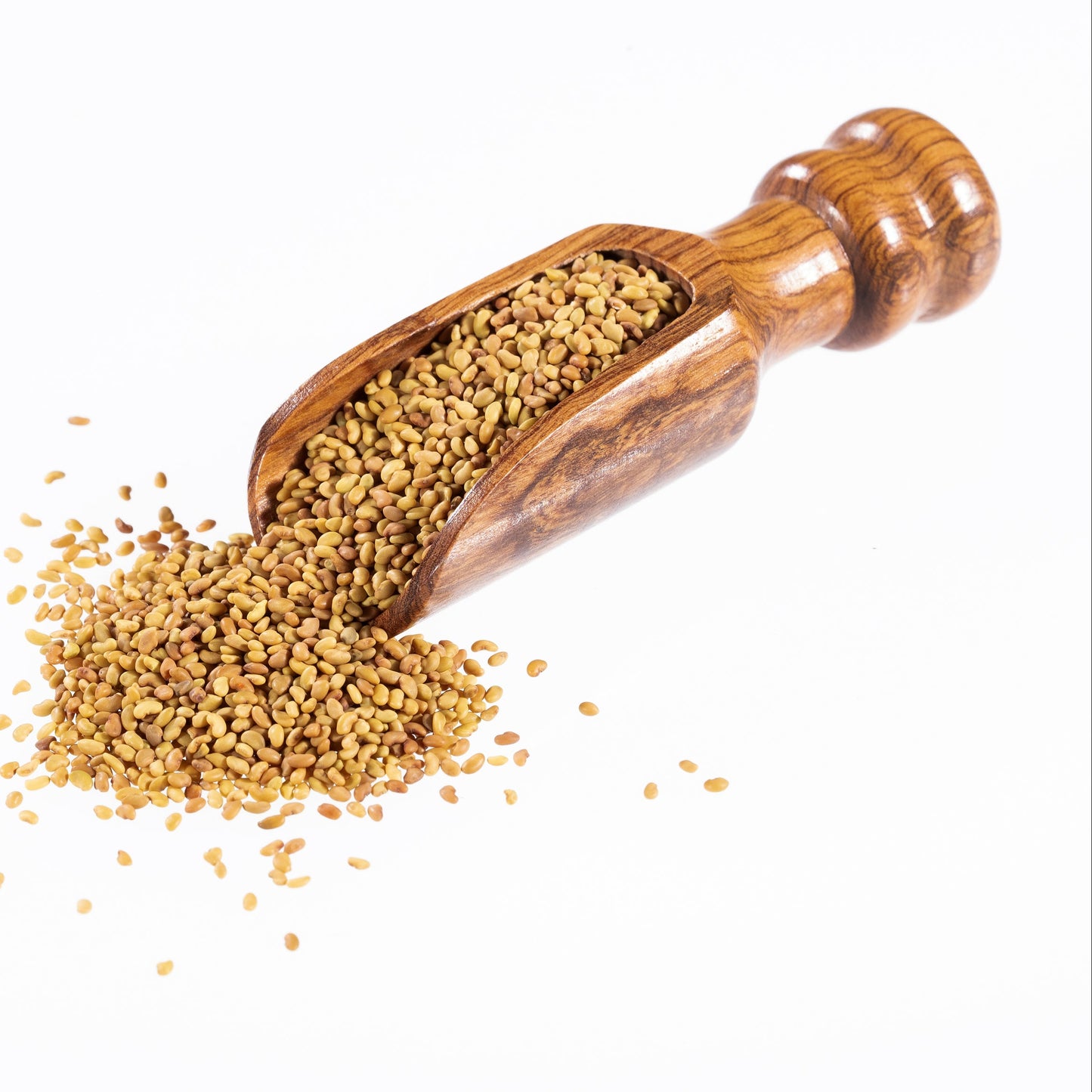 Alfalfa Seeds | Nutty Taste | Tender Crunch