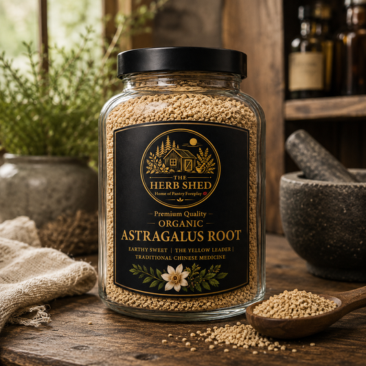 Astragalus Root | Organic | Sweet & Strengthening