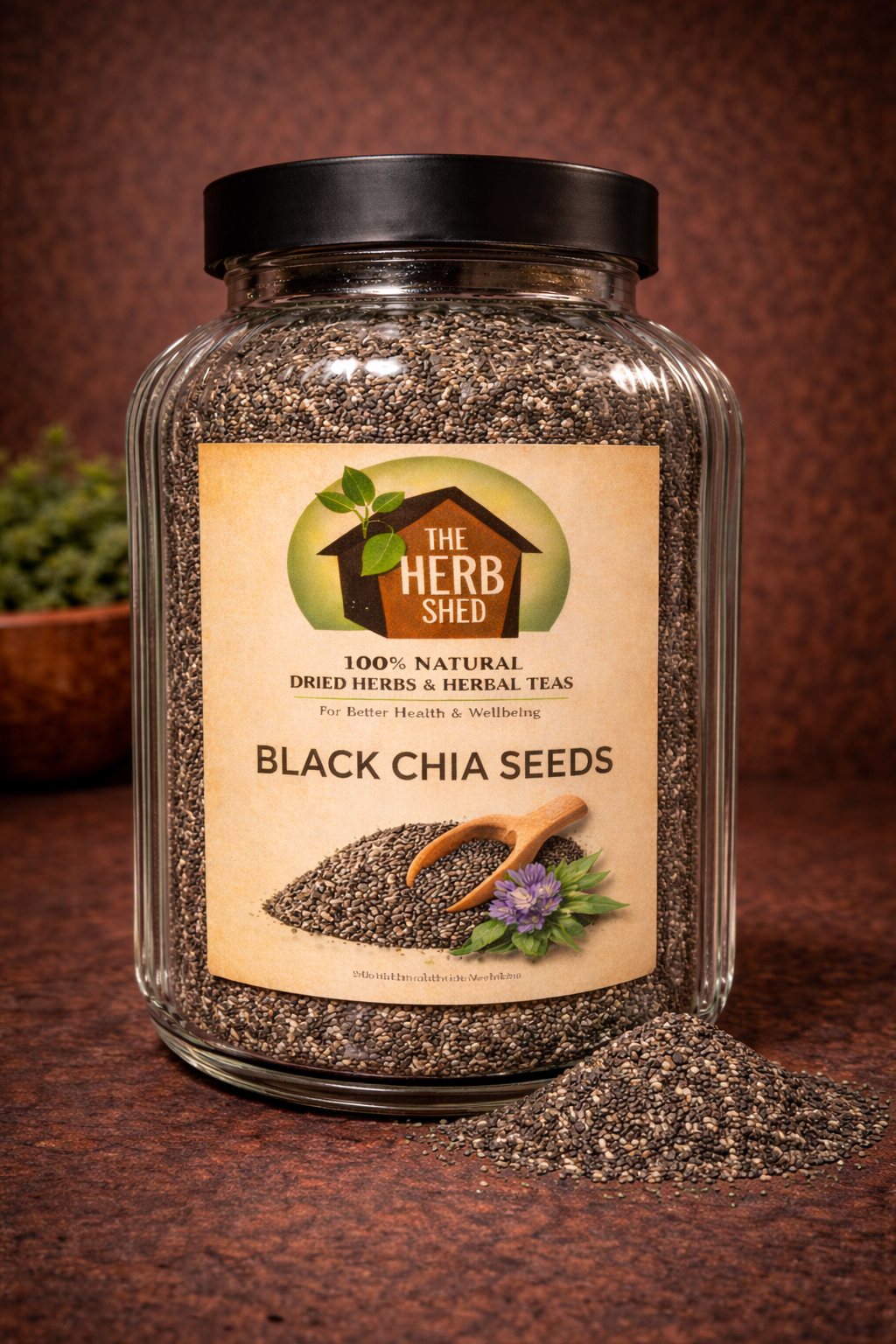 Black Chia Seeds | Tiny | Powerful | Giants