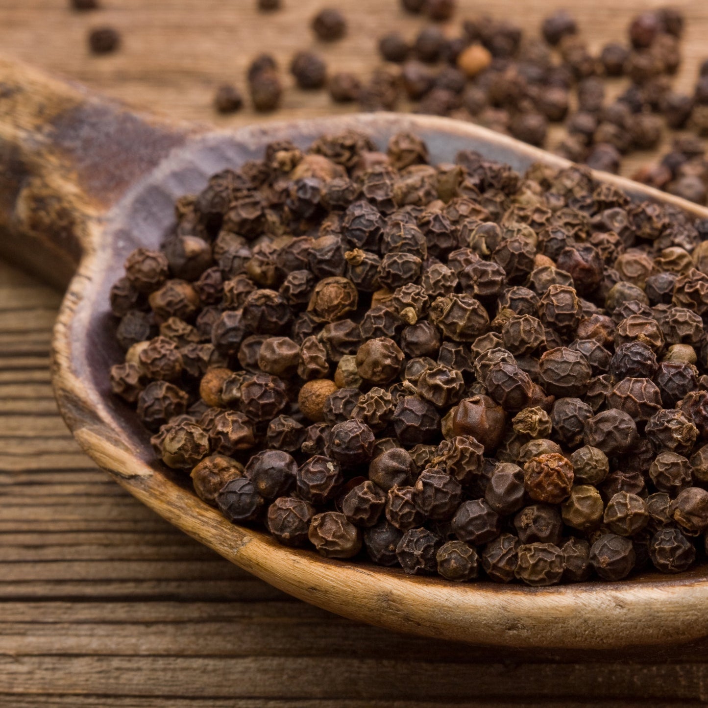 Black Peppercorns | Timeless | Sharp | Aromatic |