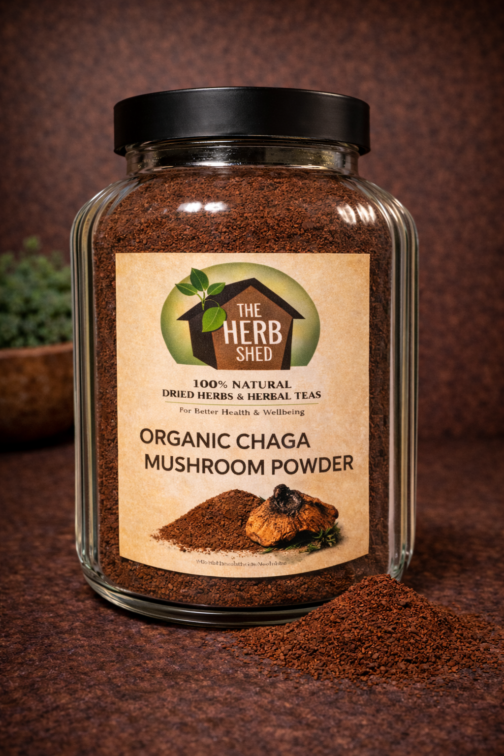 Chaga Mushroom Powder | Organic | Dark | Potent & Revered
