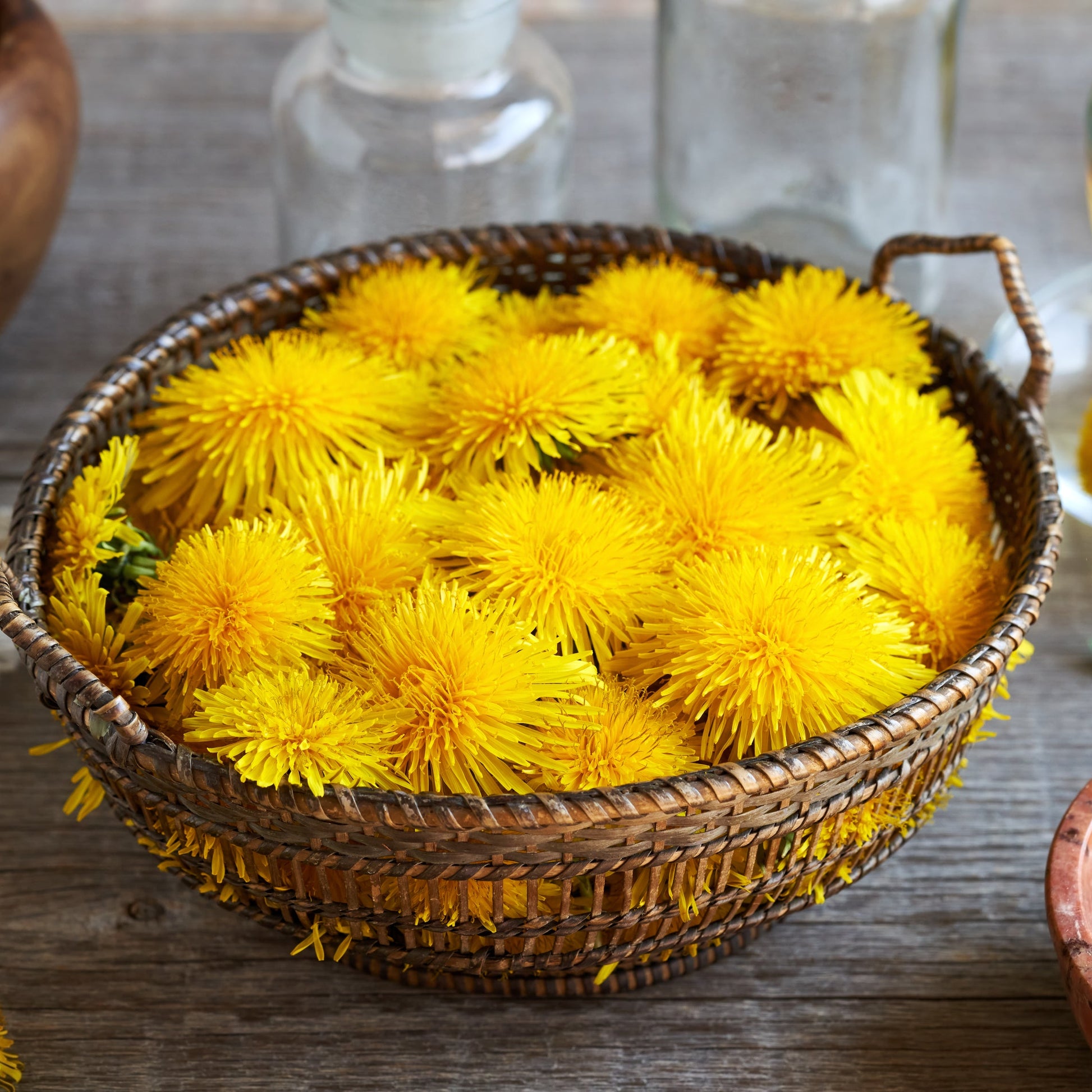 A woven basket filled with bright yellow dandelion flowers on a rustic wooden table, surrounded by herbal ingredients, glass bottles, and a glass of tea.