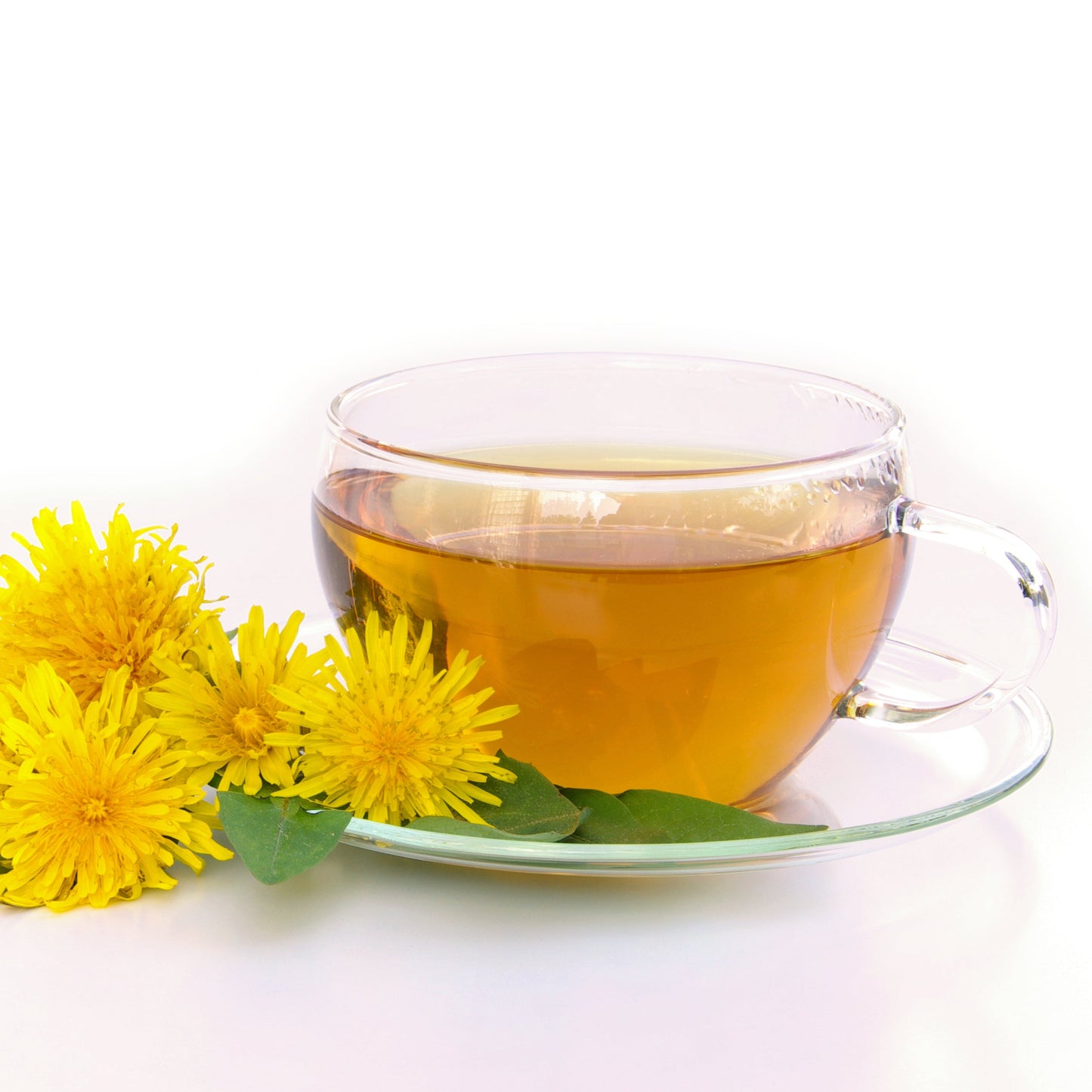 A clear glass cup of amber-colored herbal tea on a matching saucer, styled with bright yellow dandelion flowers and green leaves on a clean white background.