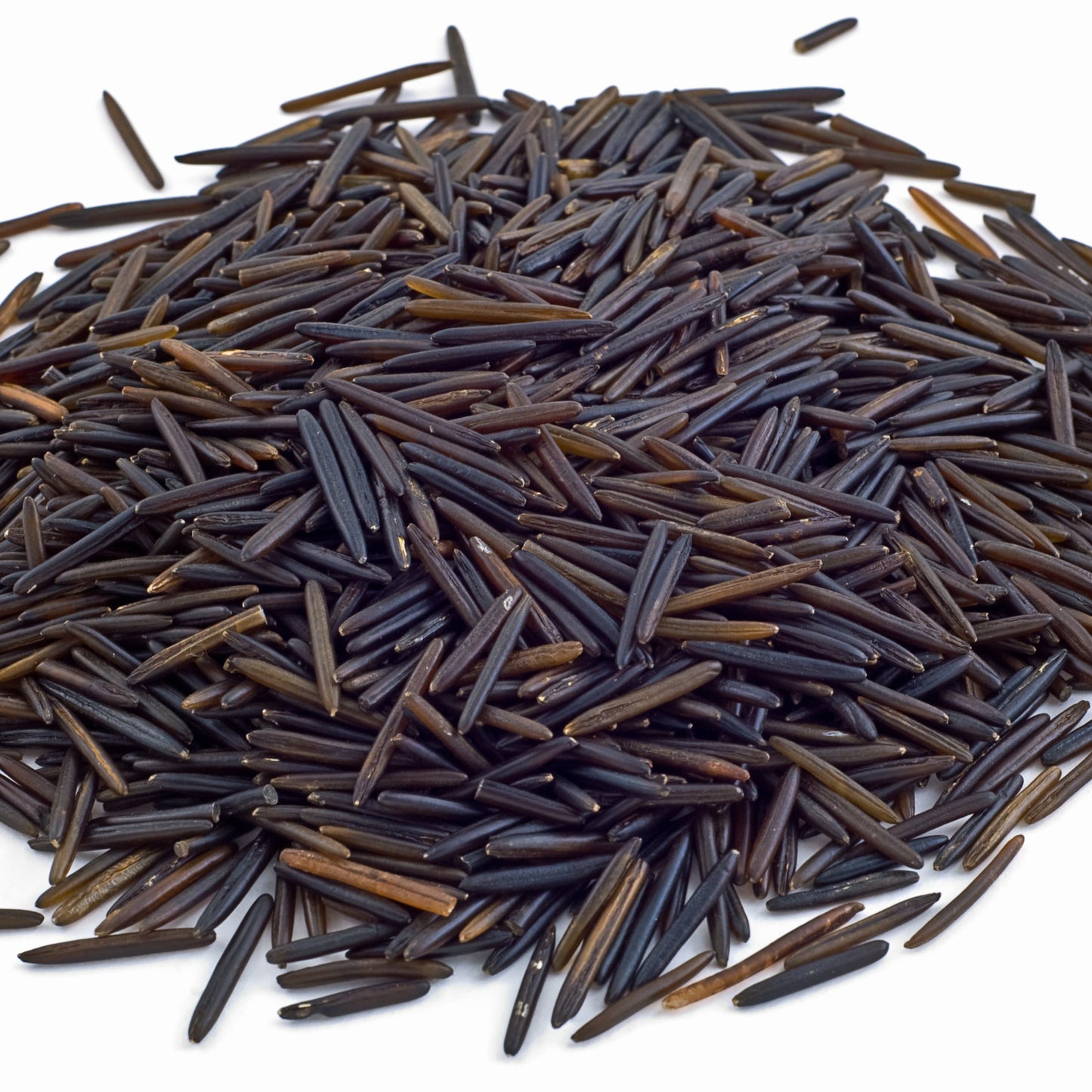 Wild Rice | Earthy, Dark, Hearty