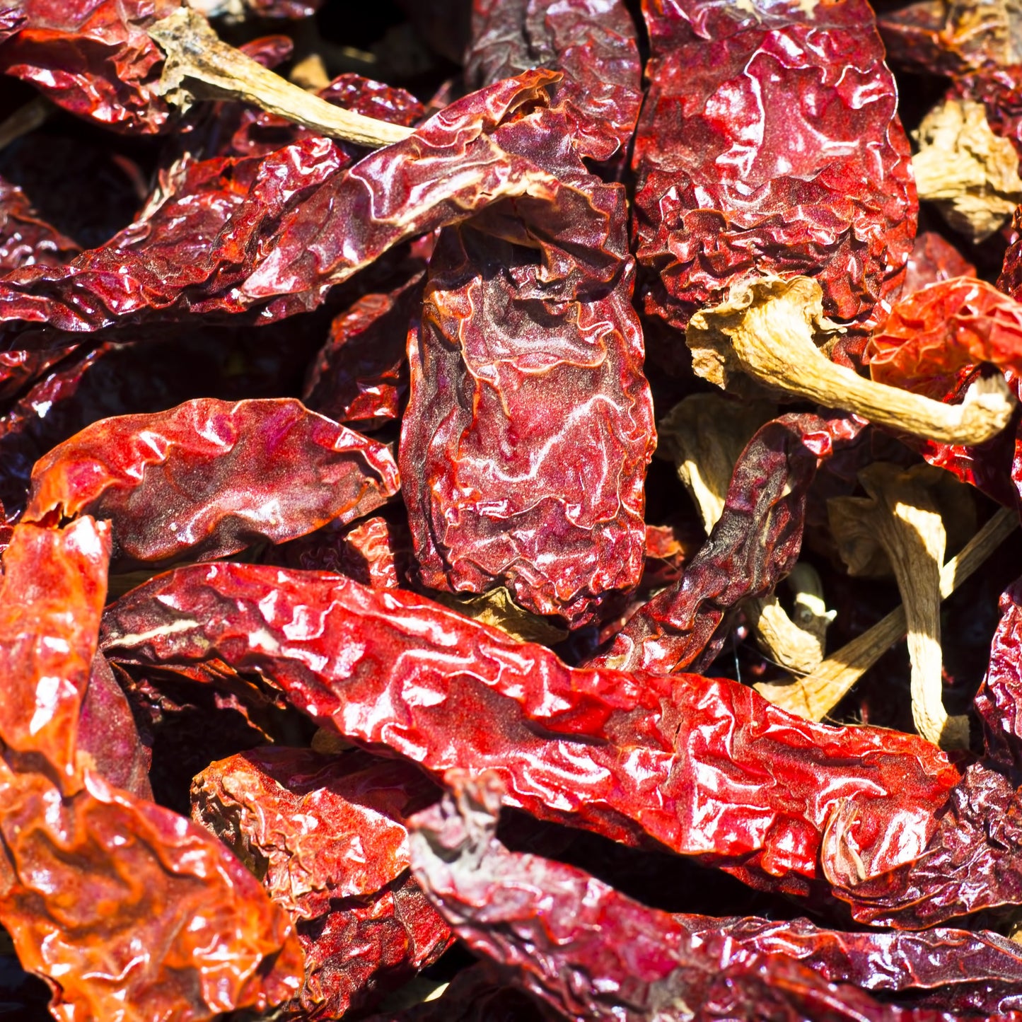 Kashmiri Chilli Pods | Dried | Vibrant | Mild & Deeply Red